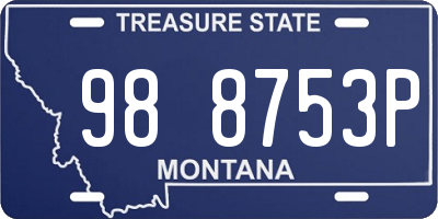 MT license plate 988753P