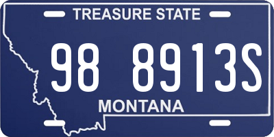 MT license plate 988913S