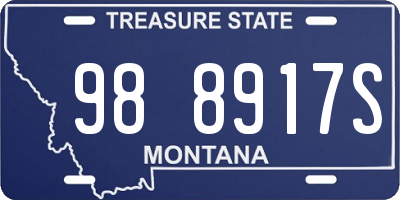 MT license plate 988917S