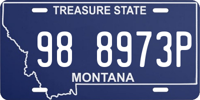 MT license plate 988973P