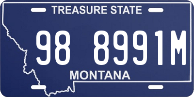 MT license plate 988991M