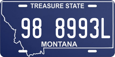 MT license plate 988993L