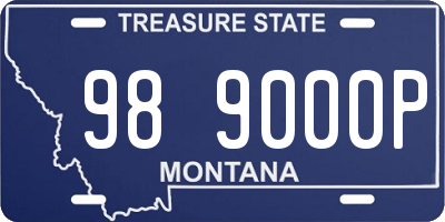 MT license plate 989000P