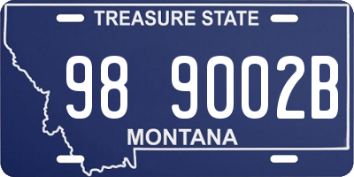 MT license plate 989002B