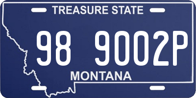 MT license plate 989002P