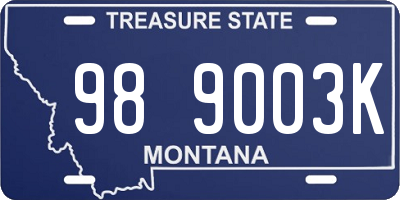 MT license plate 989003K