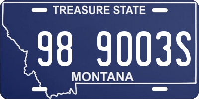 MT license plate 989003S