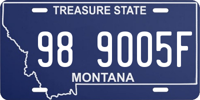 MT license plate 989005F