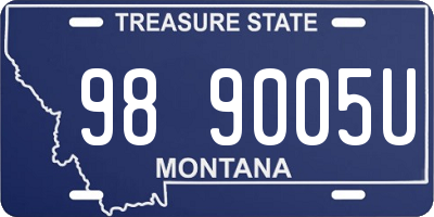 MT license plate 989005U