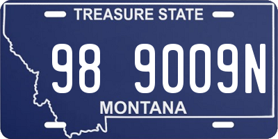 MT license plate 989009N