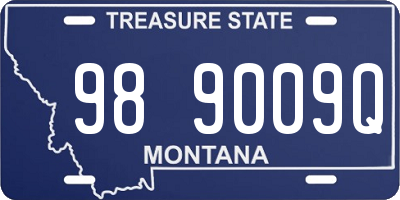MT license plate 989009Q
