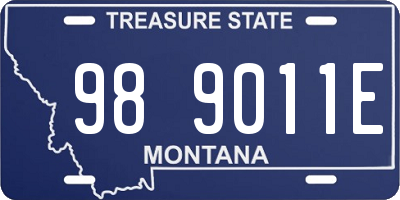 MT license plate 989011E