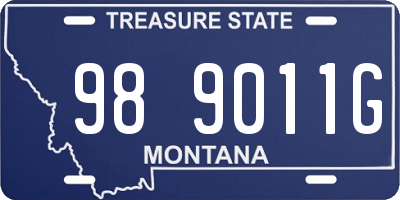 MT license plate 989011G