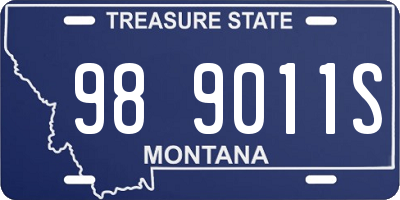 MT license plate 989011S