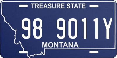 MT license plate 989011Y