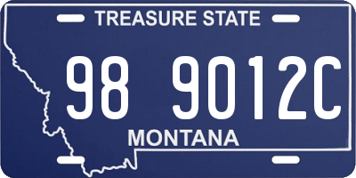 MT license plate 989012C