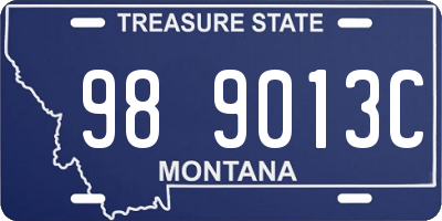 MT license plate 989013C