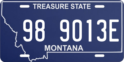 MT license plate 989013E