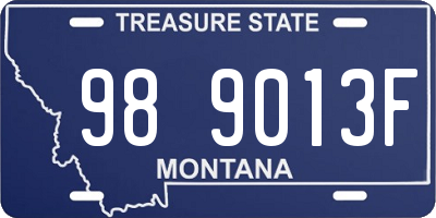 MT license plate 989013F