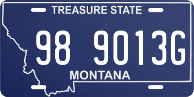 MT license plate 989013G