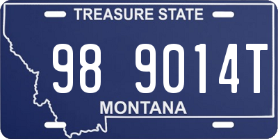 MT license plate 989014T