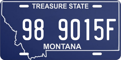MT license plate 989015F