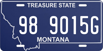 MT license plate 989015G