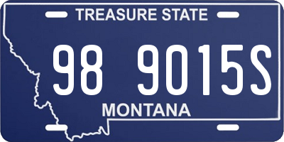 MT license plate 989015S
