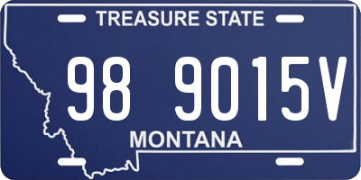 MT license plate 989015V