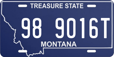 MT license plate 989016T