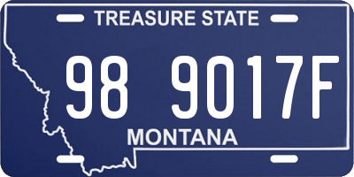 MT license plate 989017F