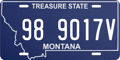 MT license plate 989017V