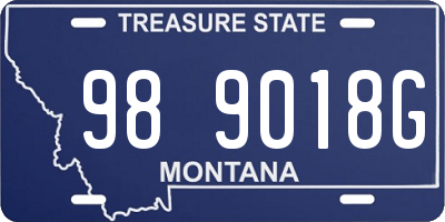 MT license plate 989018G