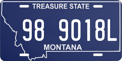 MT license plate 989018L