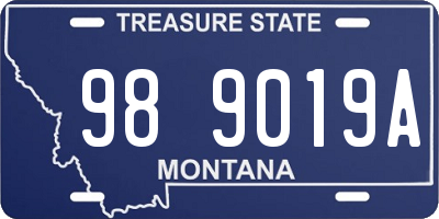 MT license plate 989019A