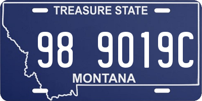 MT license plate 989019C