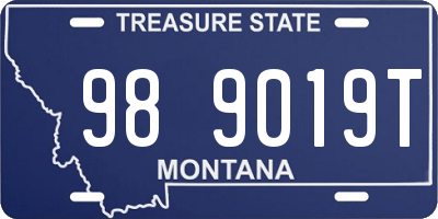 MT license plate 989019T