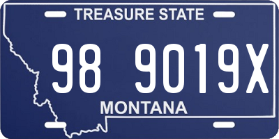 MT license plate 989019X