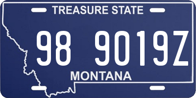 MT license plate 989019Z