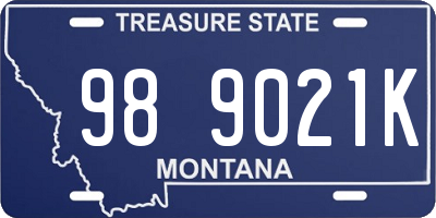 MT license plate 989021K