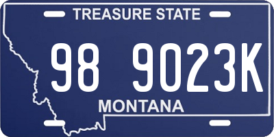 MT license plate 989023K