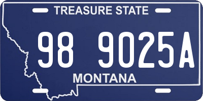 MT license plate 989025A