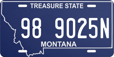 MT license plate 989025N