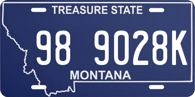 MT license plate 989028K