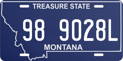 MT license plate 989028L