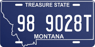 MT license plate 989028T