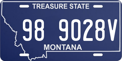MT license plate 989028V