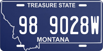 MT license plate 989028W