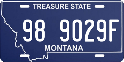 MT license plate 989029F