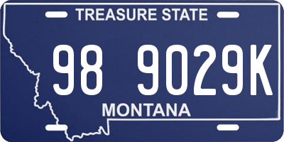 MT license plate 989029K